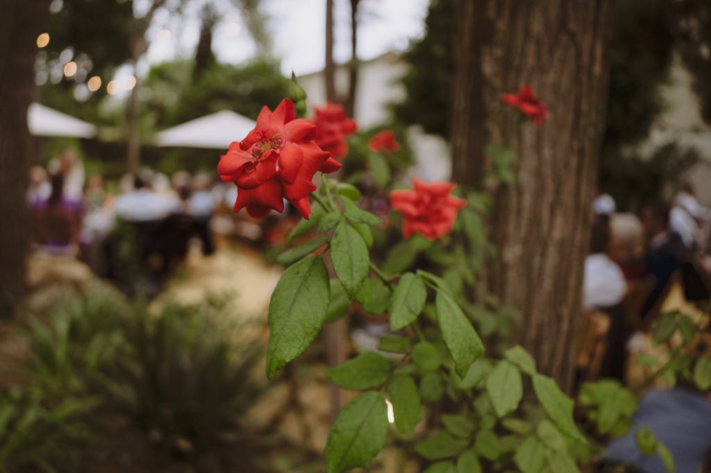 Boda-Hacienda-San-Luis-de-Mejina (111)