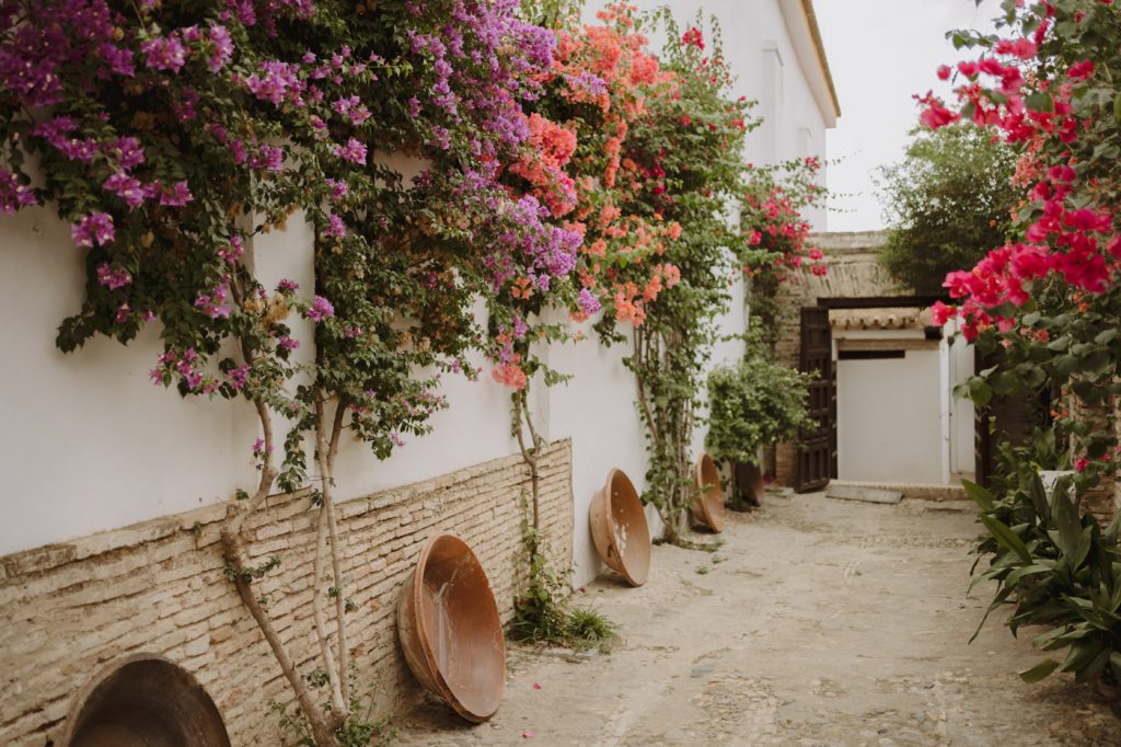 Boda-Hacienda-San-Luis-de-Mejina (178)