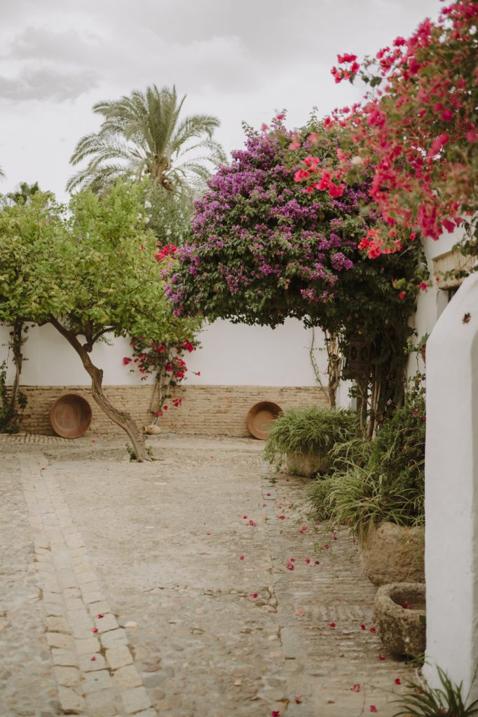 Boda-Hacienda-San-Luis-de-Mejina (179)