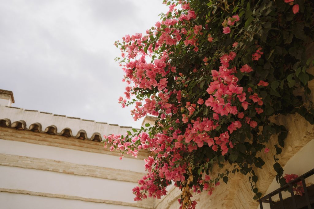 Boda-Hacienda-San-Luis-de-Mejina (47)